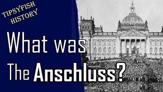 What was The Anschluss German annexation of Austria [upl. by Haisej]