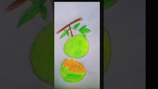 Bael fruit drawing 🙆🙆shorts shortvideo viralshorts [upl. by Innavoj]