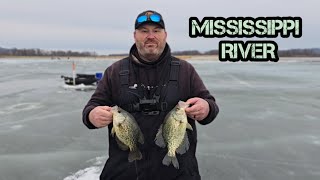 Fish were STACKED in This Hole Mississippi River Ice Fishing [upl. by Eisned]