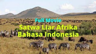 Koleksi Film Dokumenter  Kehidupan Satwa Liar Sub Indonesia Bagus Buat Nonton Bareng Keluarga [upl. by Zaragoza]