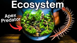 Creating a Multi Species Ecosystem Inside a Glass Bowl [upl. by Llemej825]