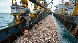 How American Overfishing Is Depleting Our Oceans  Giant Bottom Trawls [upl. by Kappel]