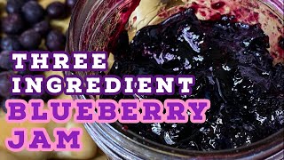 THREE INGREDIENT Blueberry Jam  The BEST HOMEMADE Blueberry Jam  Angela’s Green Cuisine [upl. by Montgomery]