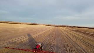 Woodside Farm  Seeding 2024 Case IH Patriot 4450 amp Quadtrac 550 with Simplicity Bin and Ausplow DBS [upl. by Remy]