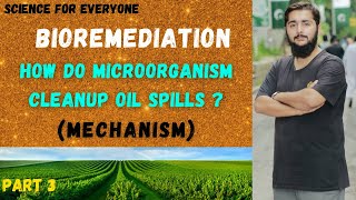 Bioremediation How do Microorganisms cleanup an oil Spills [upl. by Latsryc]