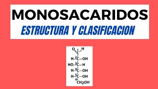 Monosacáridos Estructura y Propiedades [upl. by Falconer]