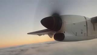 Air New Zealand ATR 72600 Takeoff Napier Airport [upl. by Blair]