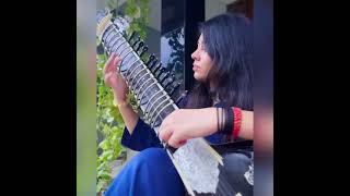 Piku Theme Song  Instrumental  Sitar [upl. by Tonia]