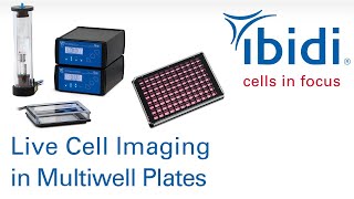 Live Cell Imaging in Multiwell Plates [upl. by Sucramaj]