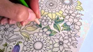 Colouring Secret Garden with Bruynzeel Super Sixties pencils [upl. by Austen]