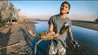 YBS Lifestyle Ep 1  MONSTER MUDCRAB CATCH AND COOK  Sea Snake Encounter [upl. by Kelleher]