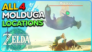 All 4 Molduga Locations Zelda Tears of the Kingdom [upl. by Etteluap991]