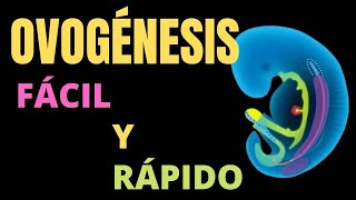 OVOGÉNESIS Fácil y rápido [upl. by Saduj]