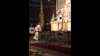 Pontifical Blessing Feast of the Conversion of St Paul [upl. by Nennek]