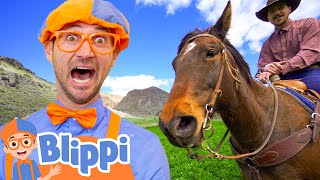 Blippi Visits a Ranch  Blippi Full Episodes  Animal Videos for Kids  Blippi Toys [upl. by Geaghan]