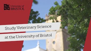 Start your career studying vet science at worldleading Bristol Veterinary School [upl. by Ennovyhc]