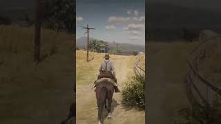 Relaxing Walks in Red Dead Redemption 2 asmrgaming relaxgaming rdr2 [upl. by Nus]