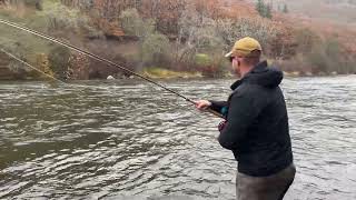 Spey Fishing for PNW Summer Steelhead In November [upl. by Noruq577]