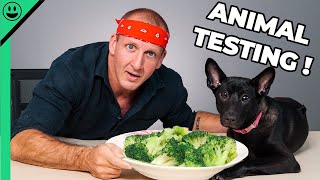 Food Challenge with My Dog My Wife is Gonna Kill Me [upl. by Tollman163]