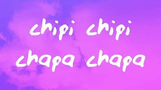 chipi chipi chapa chapa dubi dubi daba daba [upl. by Adela]