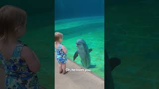 WATCH Toddlers adorable encounter with dolphin who stops to talk [upl. by Murdock]