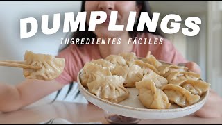 COMO HACER EMPANADILLAS CHINAS o GYOZAS CASERAS Receta básica para principiantes  SoYui [upl. by Stedman]