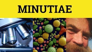 🔵 Minutiae  Minutiae Meaning  Minutiae Examples  Latin in English [upl. by Deeanne152]