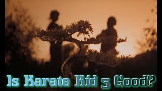 Fake Sequelitis Why Karate Kid 3 Is Actually Kinda Good [upl. by Eitsud]