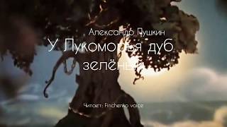 У лукоморья дуб зелёный  Александр Пушкин • Аудио  стихи и сказки • Финченко [upl. by Ordisy]