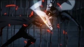 Hellsing Ultimate AMV Awake and Alive [upl. by Sesom212]