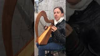 Irish Harp Street Musician in Cork [upl. by Spears280]