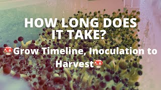 🍄 How Long Does it Take to Grow Mushrooms 🍄 Most Accurate Timeline [upl. by Joiner]