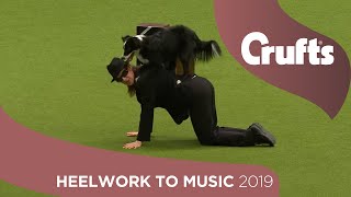 Freestyle Heelwork to Music Competition  Part 1  Crufts 2019 [upl. by Perloff]