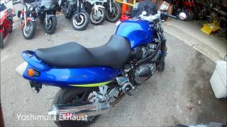 Custom Suzuki Bandit 1200 Walk Around [upl. by Immat]