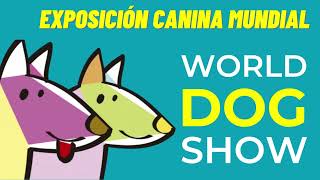 World Dog Show Madrid 2022 [upl. by Hana]