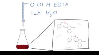 Calcium and Magnesium ion concentration determination with EDTA titration [upl. by Ellette]