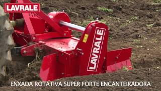 Enxada Rotativa Super Forte Encanteiradora [upl. by Darn112]