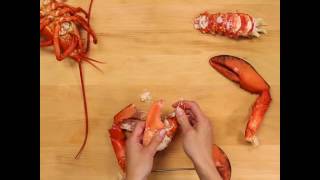 Steamed Lobster  Simple Seafood  Safeway [upl. by Gemma]