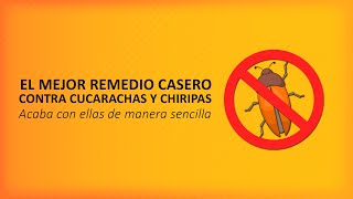 Remedio casero para eliminar chiripas y cucarachas [upl. by Yemrots]