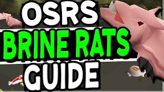 The Ultimate Brine Rats Slayer Guide Old School Runescape [upl. by Nwahs]