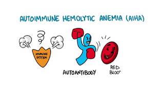 Autoimmune Hemolytic Anemia [upl. by Zoie]