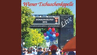 Wiesmather Watschentanz Live [upl. by Inihor]