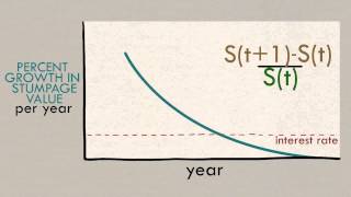 Forestry Economics Ecosystem Services and the Optimal Rotation Age [upl. by Reviel643]