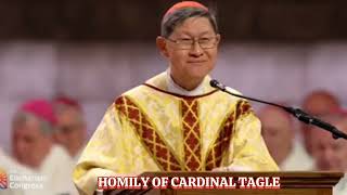 HOMILY OF CARDINAL TAGLE  NAIONAL EUCHARISTIC CONGRESS [upl. by Nnadroj]