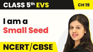 Class 5 EVS Chapter 19  A Seed Tells a Farmer’s Story  I am a Small Seed  Class 5 EVS NCERT [upl. by Nesnej136]