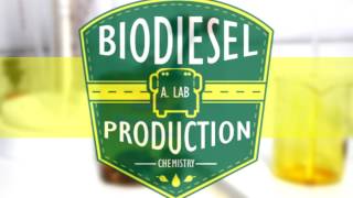 Biodiesel Production from Palm Oil ChemRus  Chemistry [upl. by Niotna]