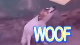 Dancing Brazil dog meme [upl. by Jeffery]