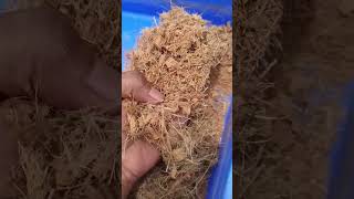 Home Made Substitute of Coco Peat  Garden hack youtubeshorts gardening shorts gardeninghacks [upl. by Carmelita408]