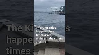 WICKED Kiing Tides in Boston [upl. by Ybba]