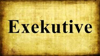 Exekutive [upl. by Malha]